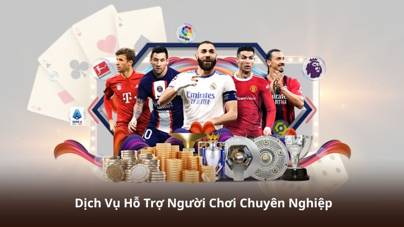 Dịch Vụ Hỗ Trợ Người Chơi Chuyên Nghiệp
