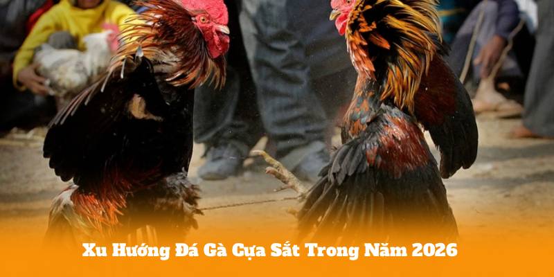 Kinh Nghiệm Chơi Đá Gà Trực Tiếp Thomo 24/7 Hiệu Quả